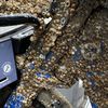 This Mysterious Citi Bike Covered In Barnacles & Shells Must Have Some Stories To Tell